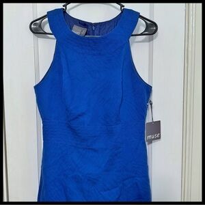 NWT Muse shift dress
